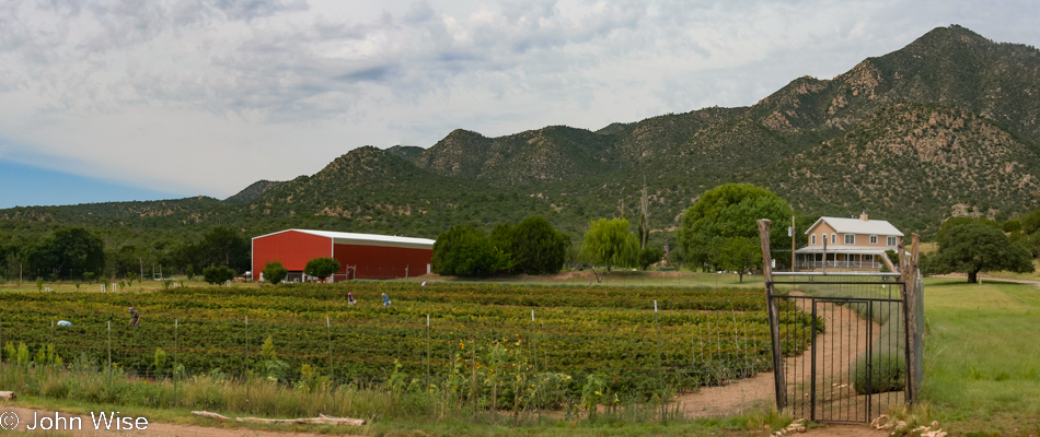 Lavender Spring Ranch in Arabela, New Mexico