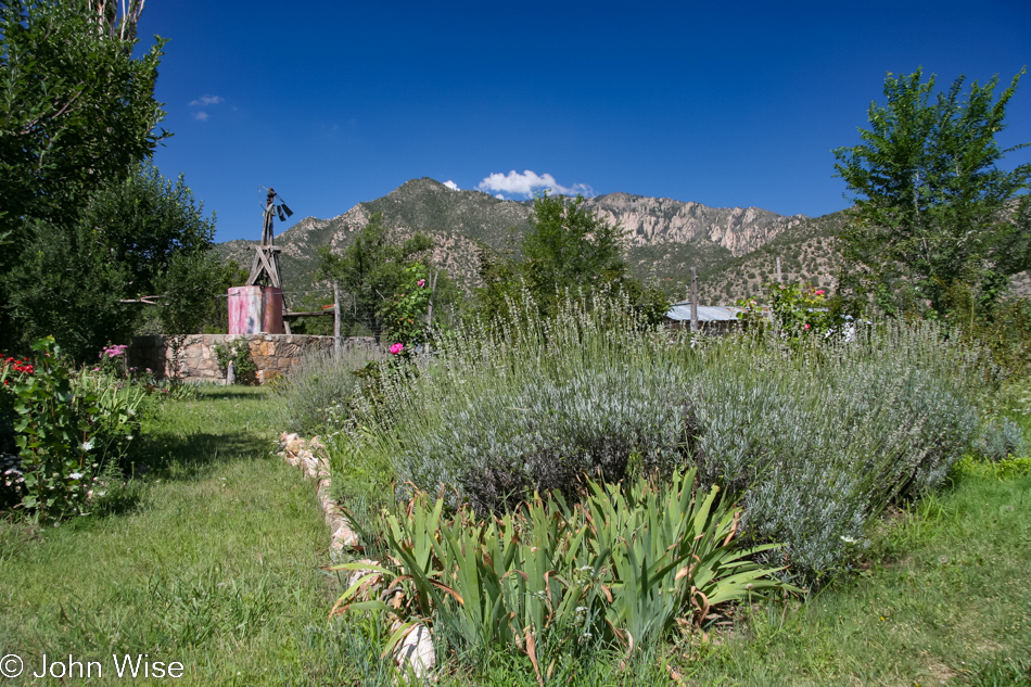 Lavender Spring Ranch in Arabela, New Mexico