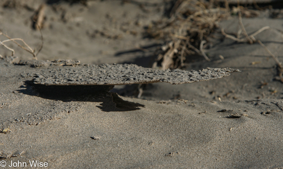 Death Valley National Park, California