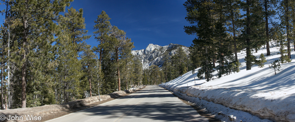 Mt Charleston area in Nevada