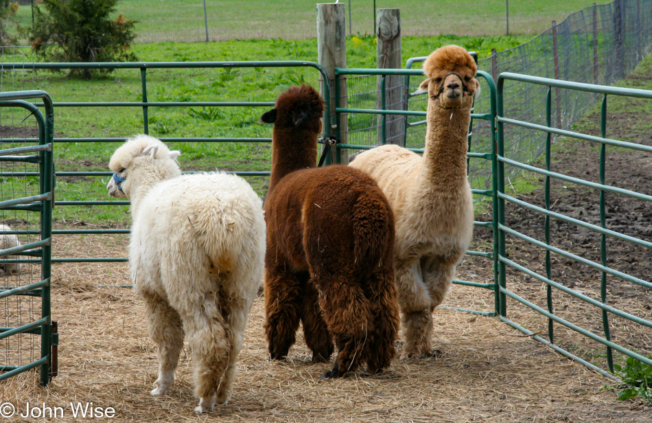 Yarn School in Harveyville, Kansas