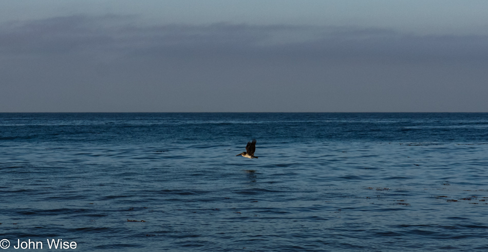 Coast of Santa Barbara, California