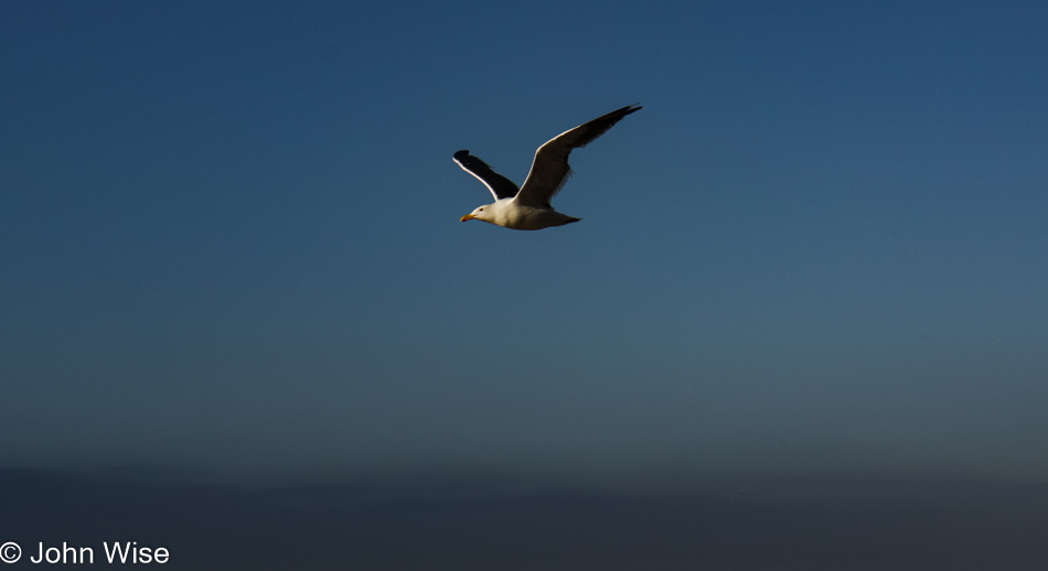 Coast of Santa Barbara, California