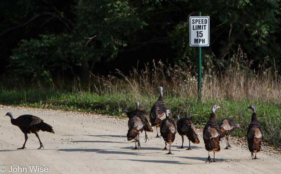 Somewhere on Highway 45 in Wisconsin