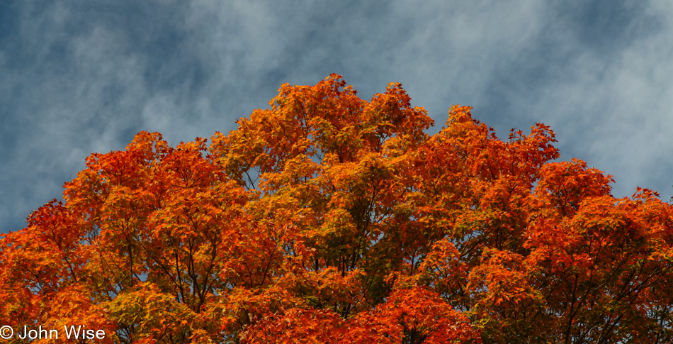 Somewhere on Highway 45 in Wisconsin