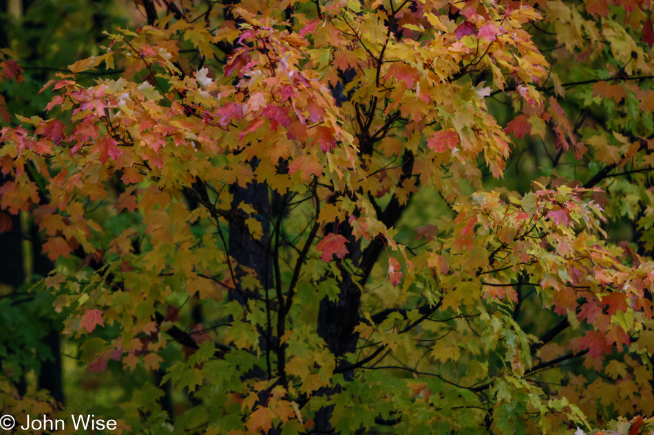 On the way to Potawatomi and Gorge Waterfalls in Ironwood, Michigan