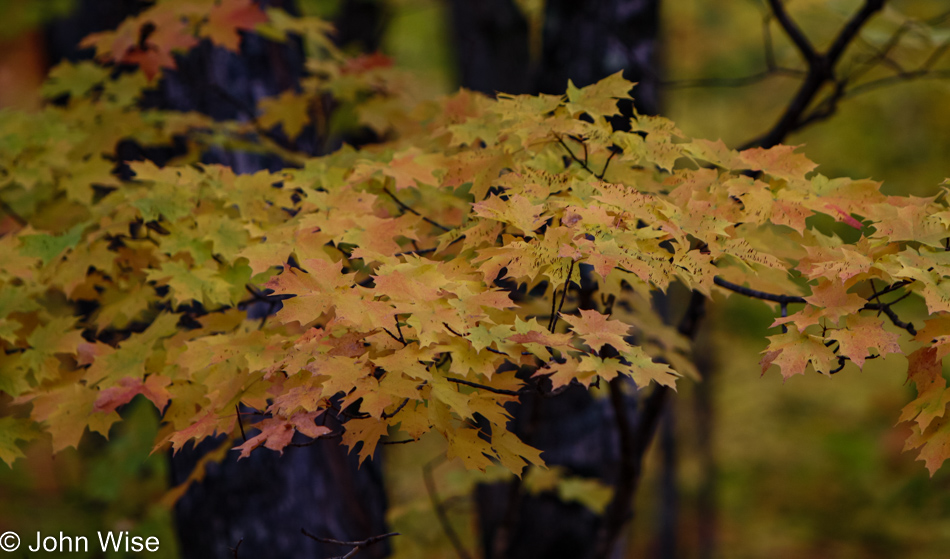 Porcupine Mountain Wilderness, Michigan