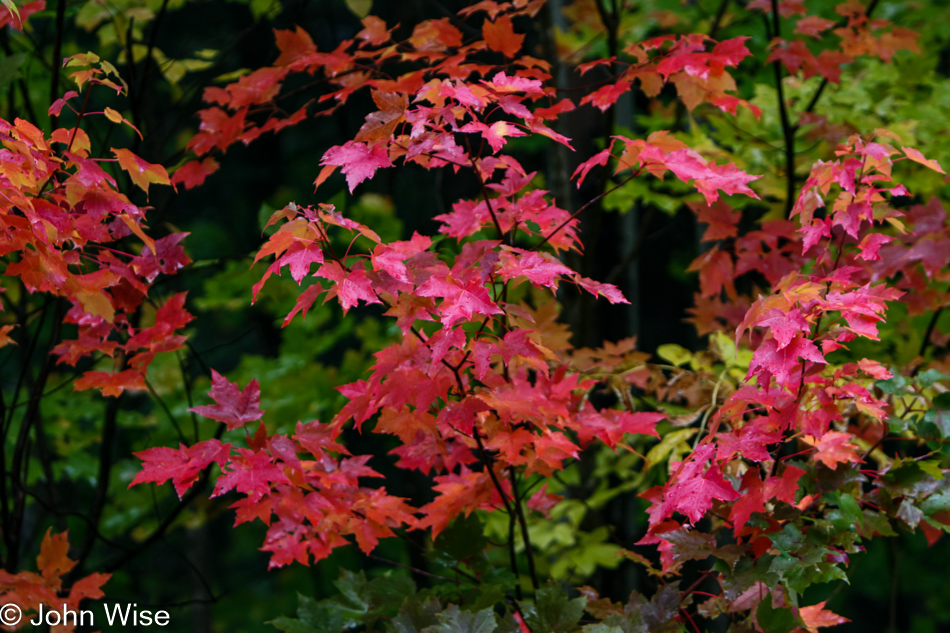 Porcupine Mountain Wilderness, Michigan