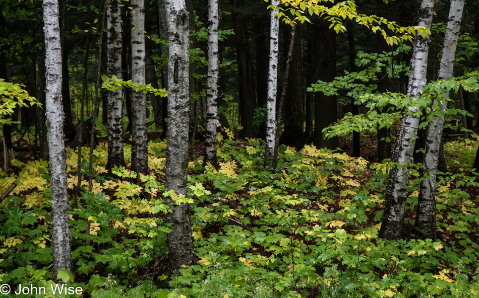 Porcupine Mountain Wilderness, Michigan