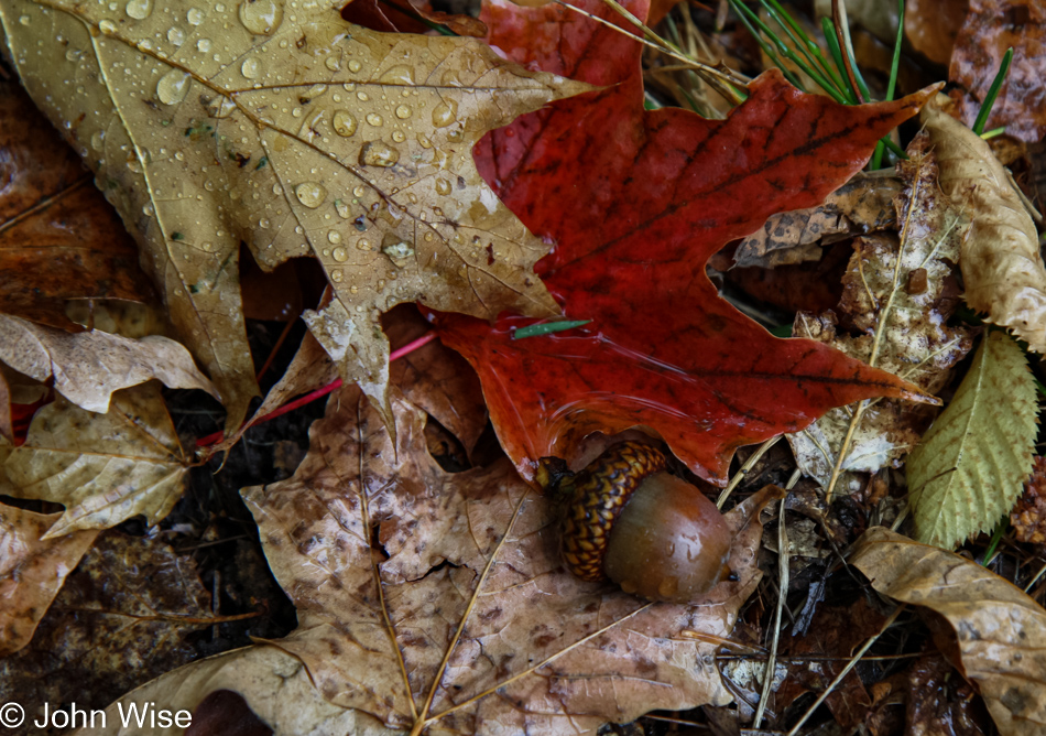 Porcupine Mountain Wilderness, Michigan