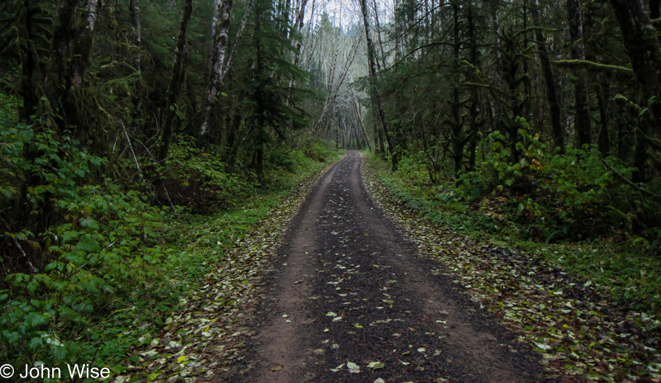 Near Munson Creek Falls near Pleasant Valley, Oregon