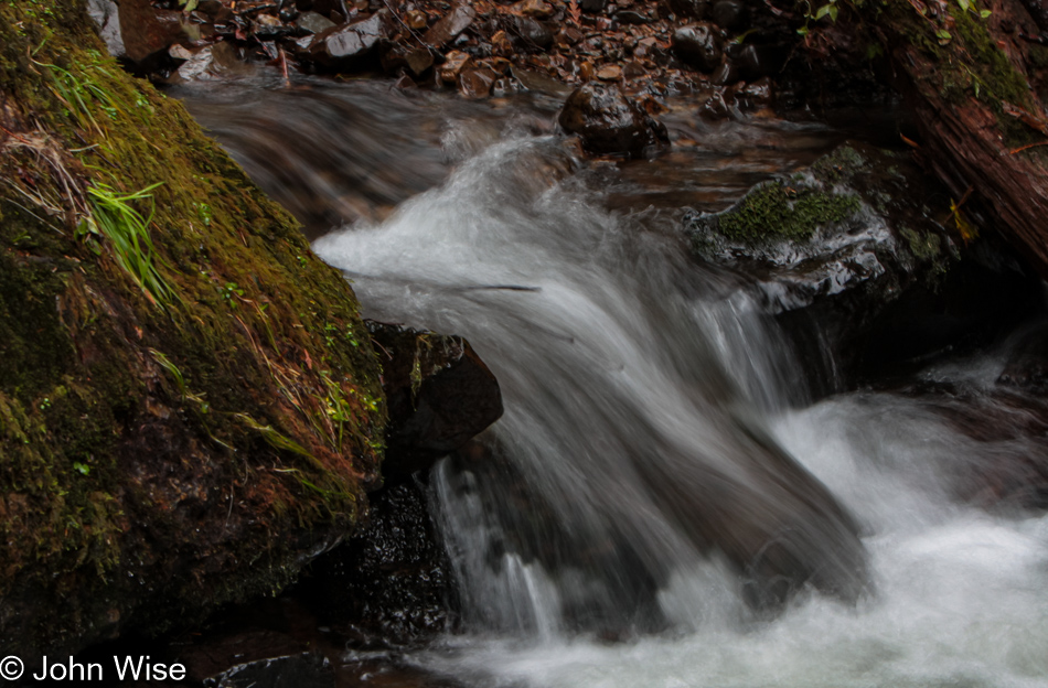 On trail at Munson Creek Falls near Pleasant Valley, Oregon