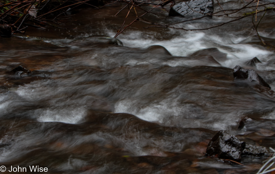 On trail at Munson Creek Falls near Pleasant Valley, Oregon