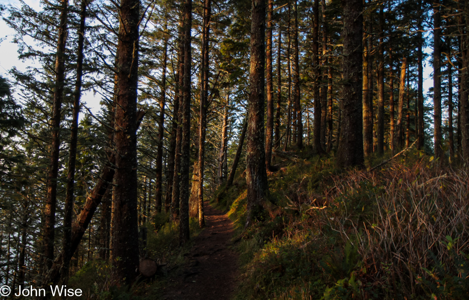 Cape Lookout trail in Oregon