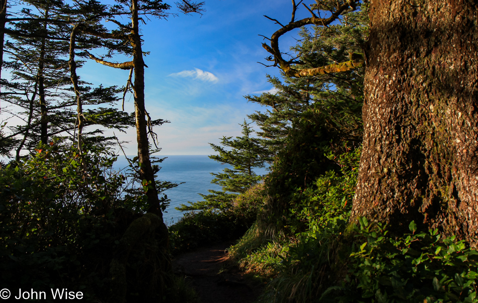 Cape Lookout trail in Oregon
