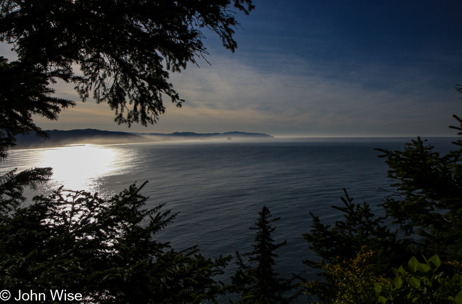 Cape Lookout trail in Oregon