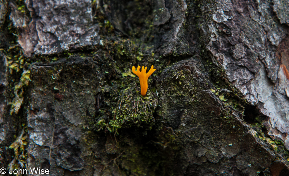 Clay Myers State Natural Area at Whalen Island, Oregon