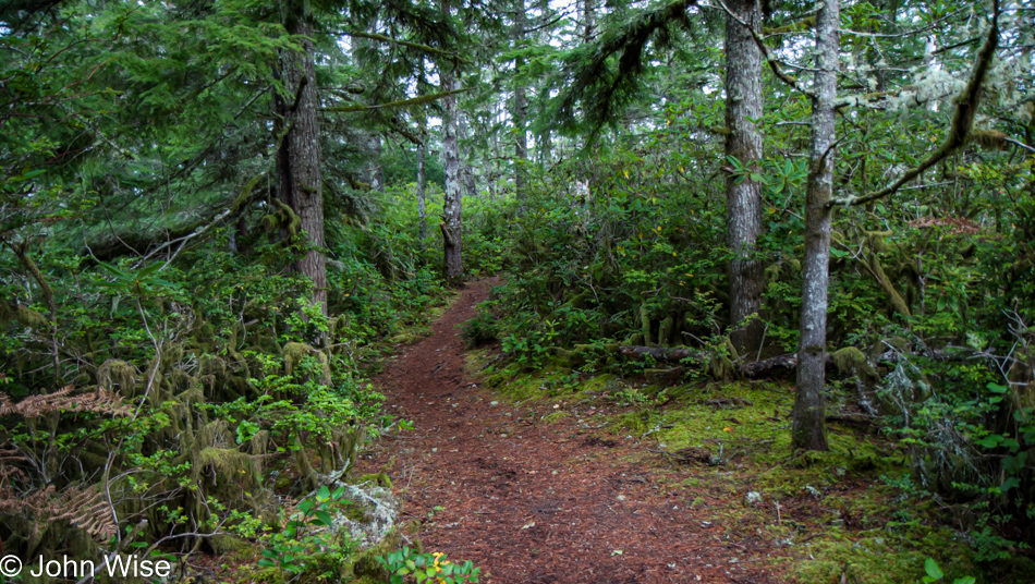 Clay Myers State Natural Area at Whalen Island, Oregon