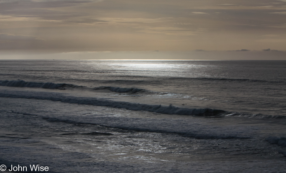 Oregon Coast off Highway 101