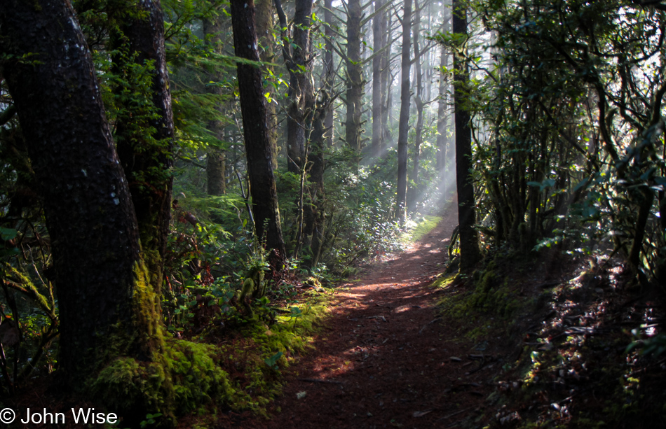 Carl G. Washburne Memorial State Park in Florence, Oregon