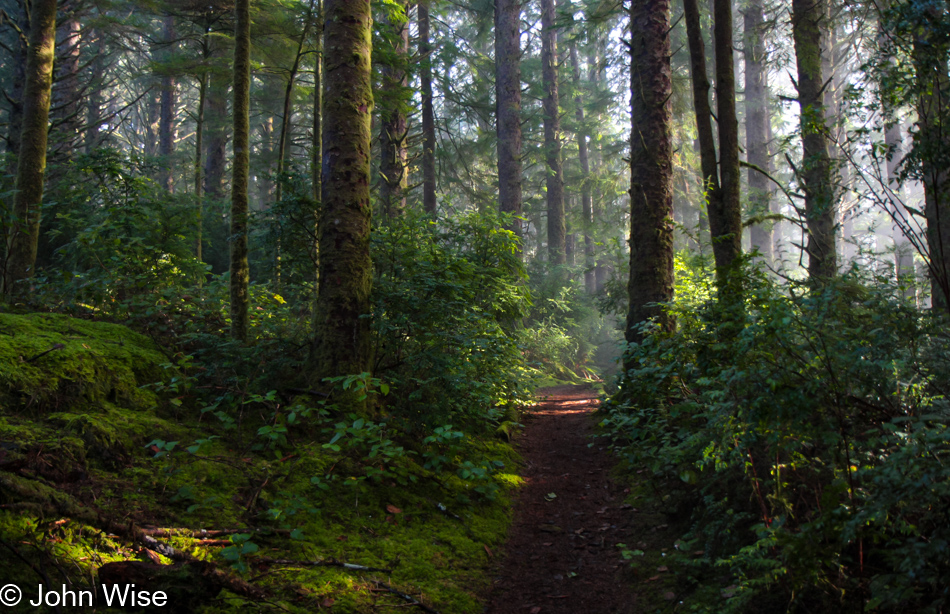 Carl G. Washburne Memorial State Park in Florence, Oregon