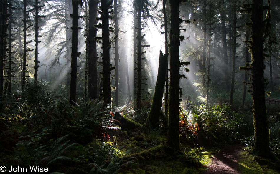 Carl G. Washburne Memorial State Park in Florence, Oregon