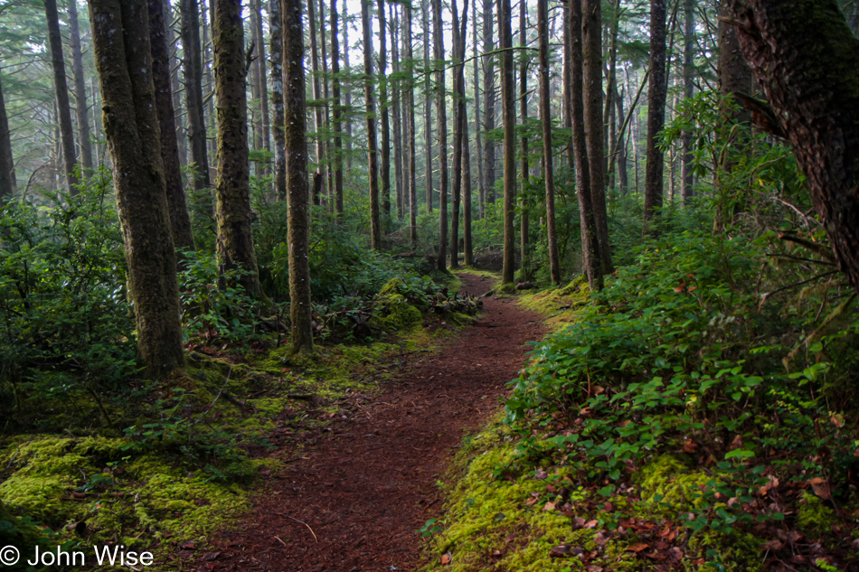 Carl G. Washburne Memorial State Park in Florence, Oregon