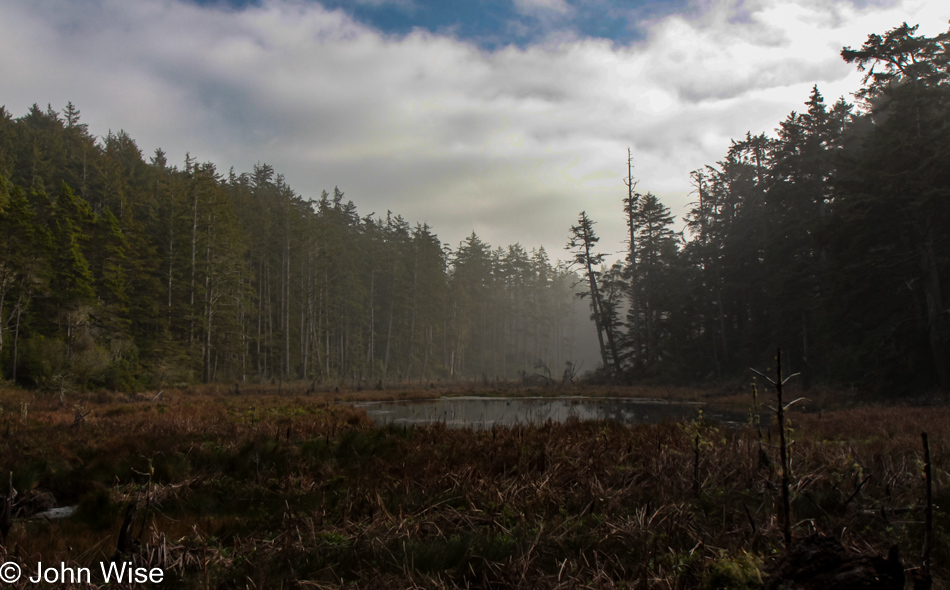 Carl G. Washburne Memorial State Park in Florence, Oregon