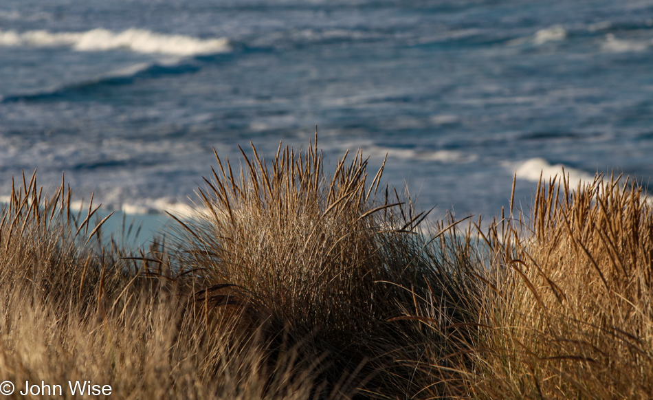 Siltcoos Beach in Florence, Oregon