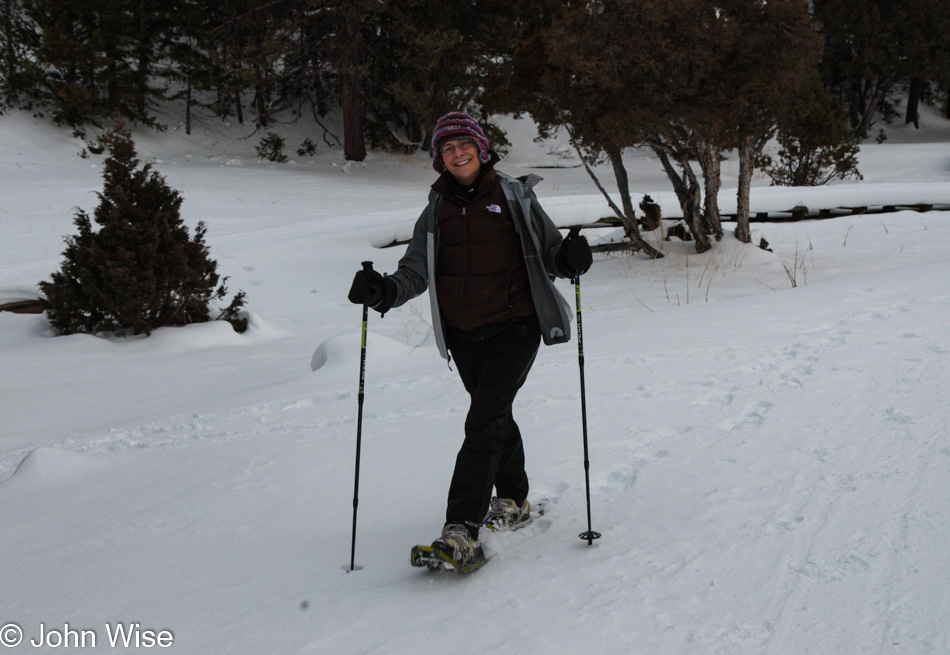 Caroline Wise on the Upper Terrace at Mammoth Hot Springs in Yellowstone National Park during a gray winter day