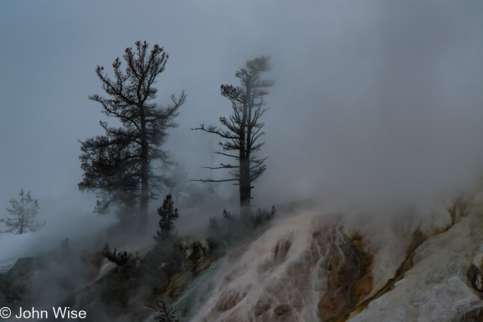 Winter in Yellowstone National Park, Wyoming