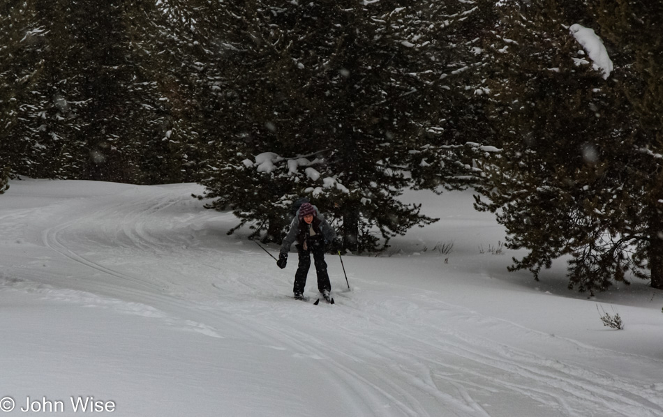 Caroline Wise on cross-country ski's in Yellowstone National Park, Wyoming