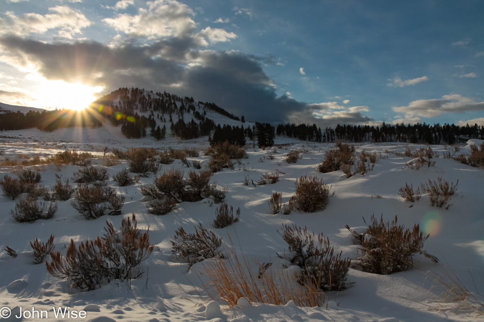 Winter in Yellowstone National Park, Wyoming