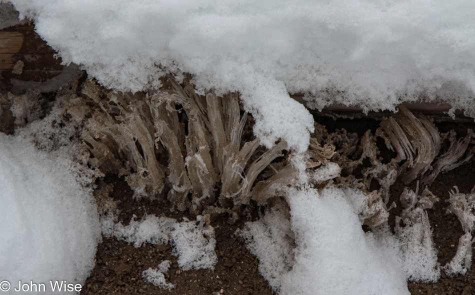 Winter at Norris Geyser Basin in Yellowstone National Park, Wyoming