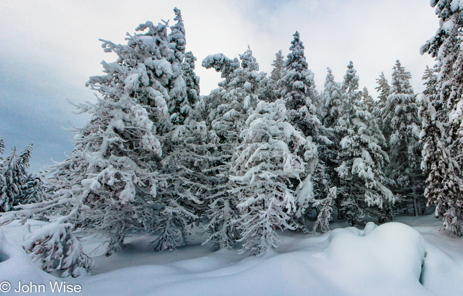 Winter at Norris Geyser Basin in Yellowstone National Park, Wyoming