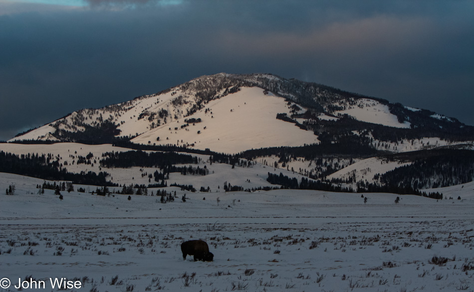 Winter in Yellowstone National Park, Wyoming