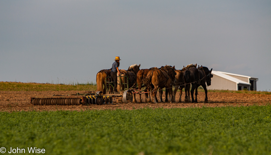 Amish man plowing his field in rural Pennsylvania