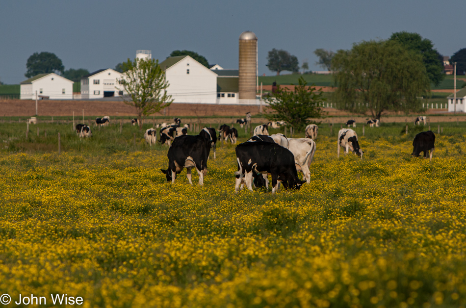 Amish farm in rural Pennsylvania