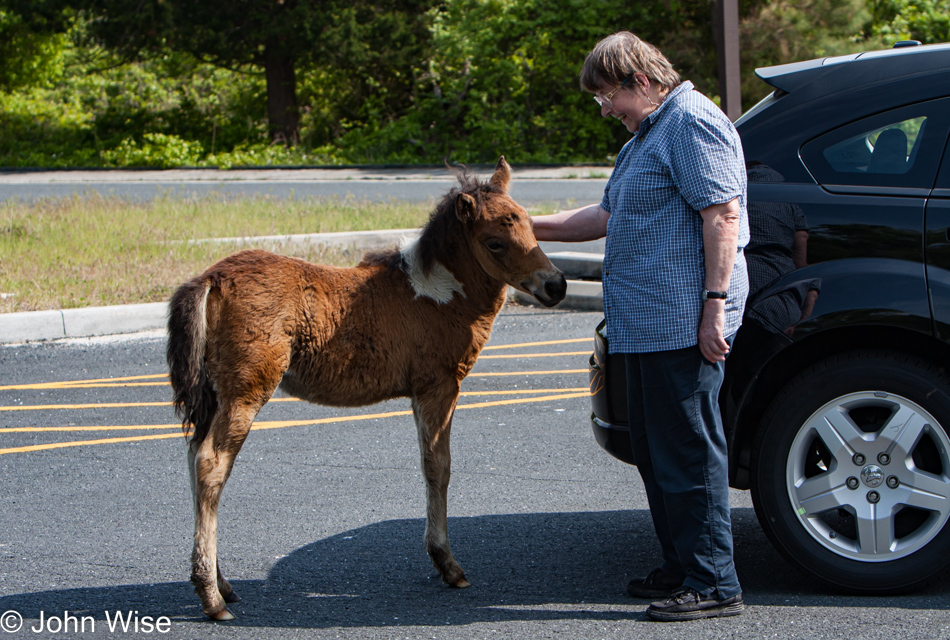 Jutta Engelhart at Assateague Island National Seashore in Maryland