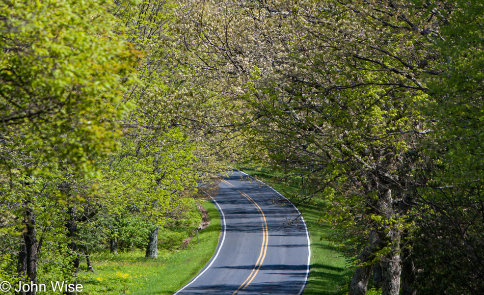Skyline Drive Scenic Byway in Shenandoah National Park in Virginia