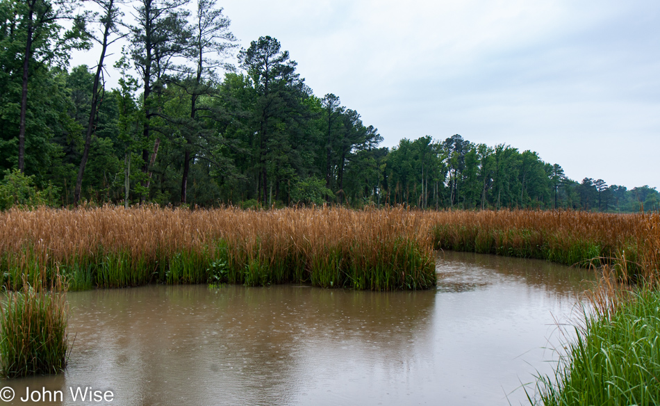 The wetlands surrounding Jamestown, Virginia