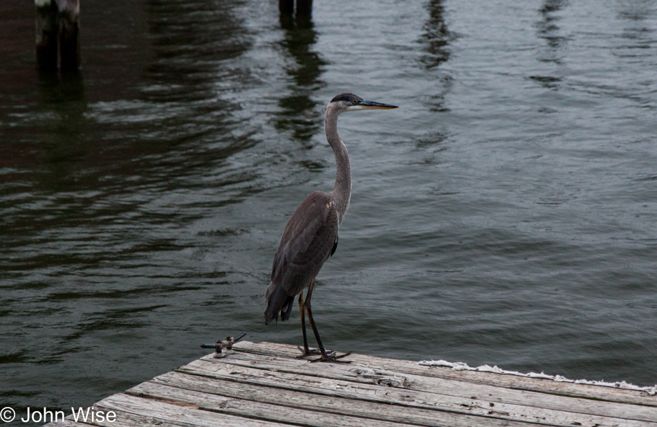 Chesapeake Bay Maritime Museum in St. Michaels, Maryland