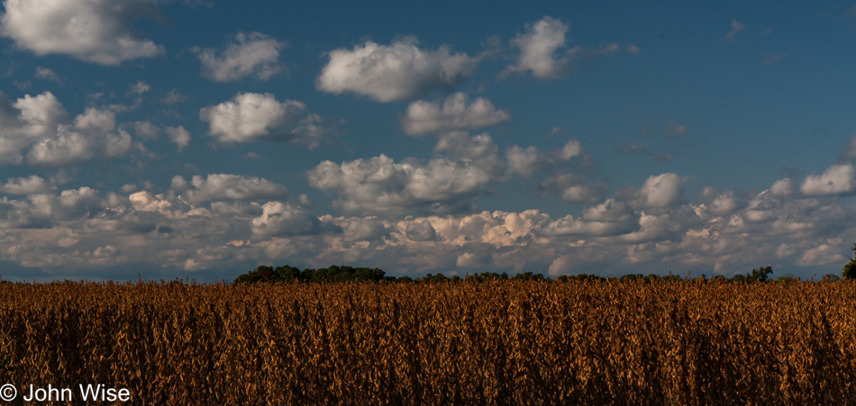 Roadside Virginia