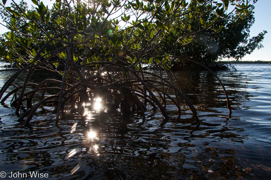 Big Pine Kayak Adventures in Florida