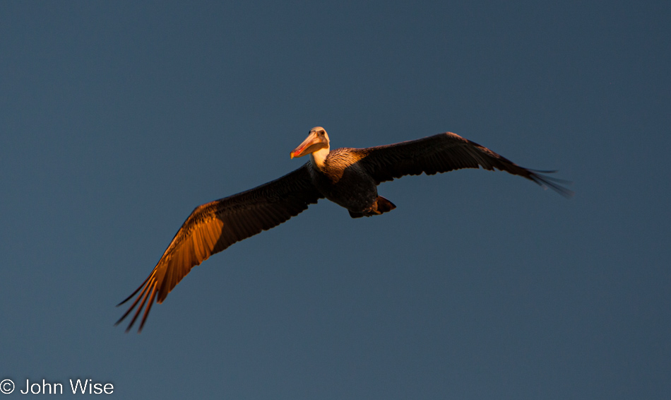 Near Big Pine Key in Florida