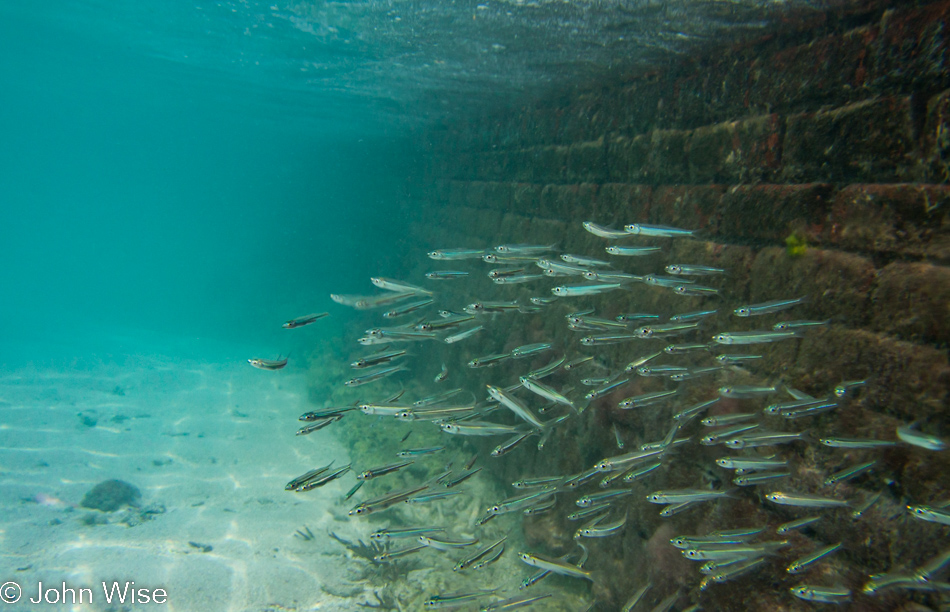 Fort Jefferson on Garden Key at the Dry Tortugas National Park