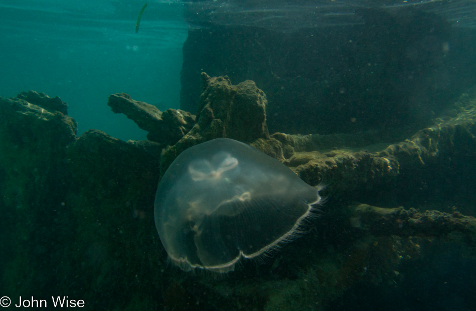 Fort Jefferson on Garden Key at the Dry Tortugas National Park