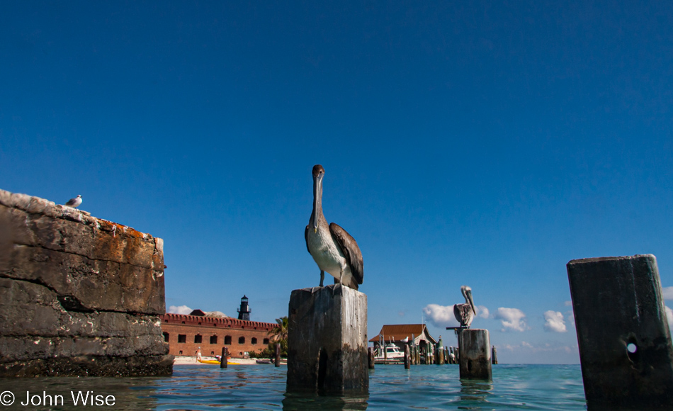 Fort Jefferson on Garden Key at the Dry Tortugas National Park