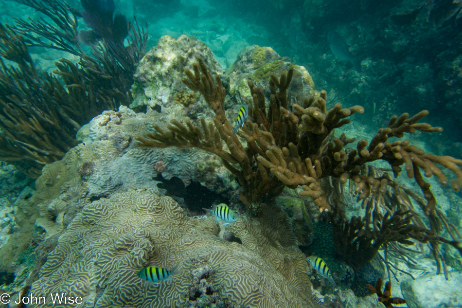 Fort Jefferson on Garden Key at the Dry Tortugas National Park