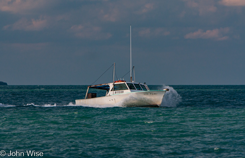 Gulf of Mexico in Florida